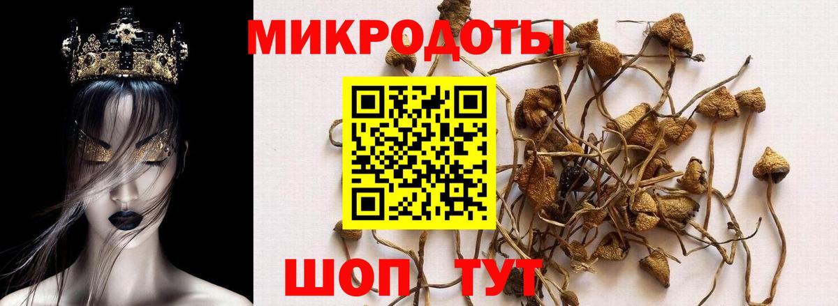 Псилоцибиновые грибы мухоморы Лосино-Петровский