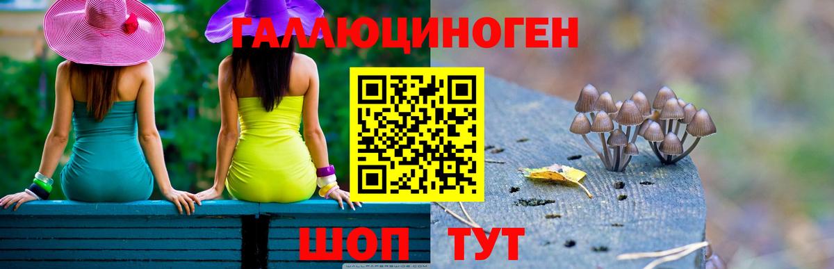 Галлюциногенные грибы GOLDEN TEACHER  Лосино-Петровский  Псилоцибиновые грибы ЛСД 